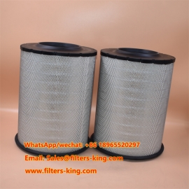 AF25631 Air Filter