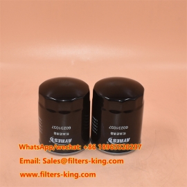 60231037 Oil Filter