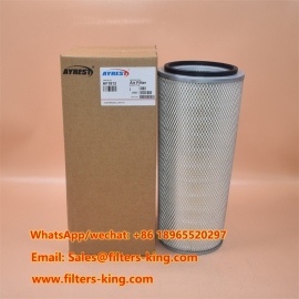 AF1813 Air Filter