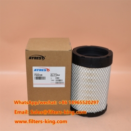 Air Filter P628328