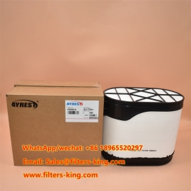 Air Filter P604273