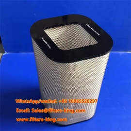 Air Filter 3005807484