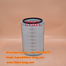 E737L Air Filter