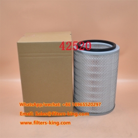 42520 Air Filter