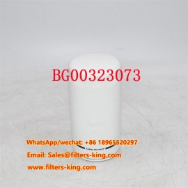 BG00323073 Fuel Filter