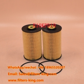 E10KPD10 Fuel Filter