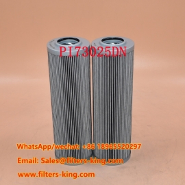 PI73025DN Hydraulic Filter