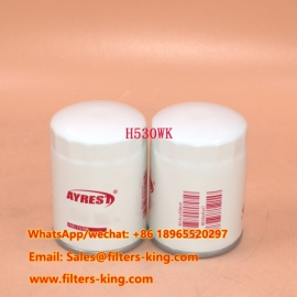 H530WK Fuel Filter