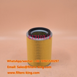 C13103/1 Air Filter